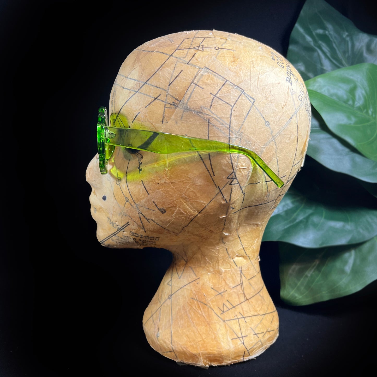 MONSTERA SHADES