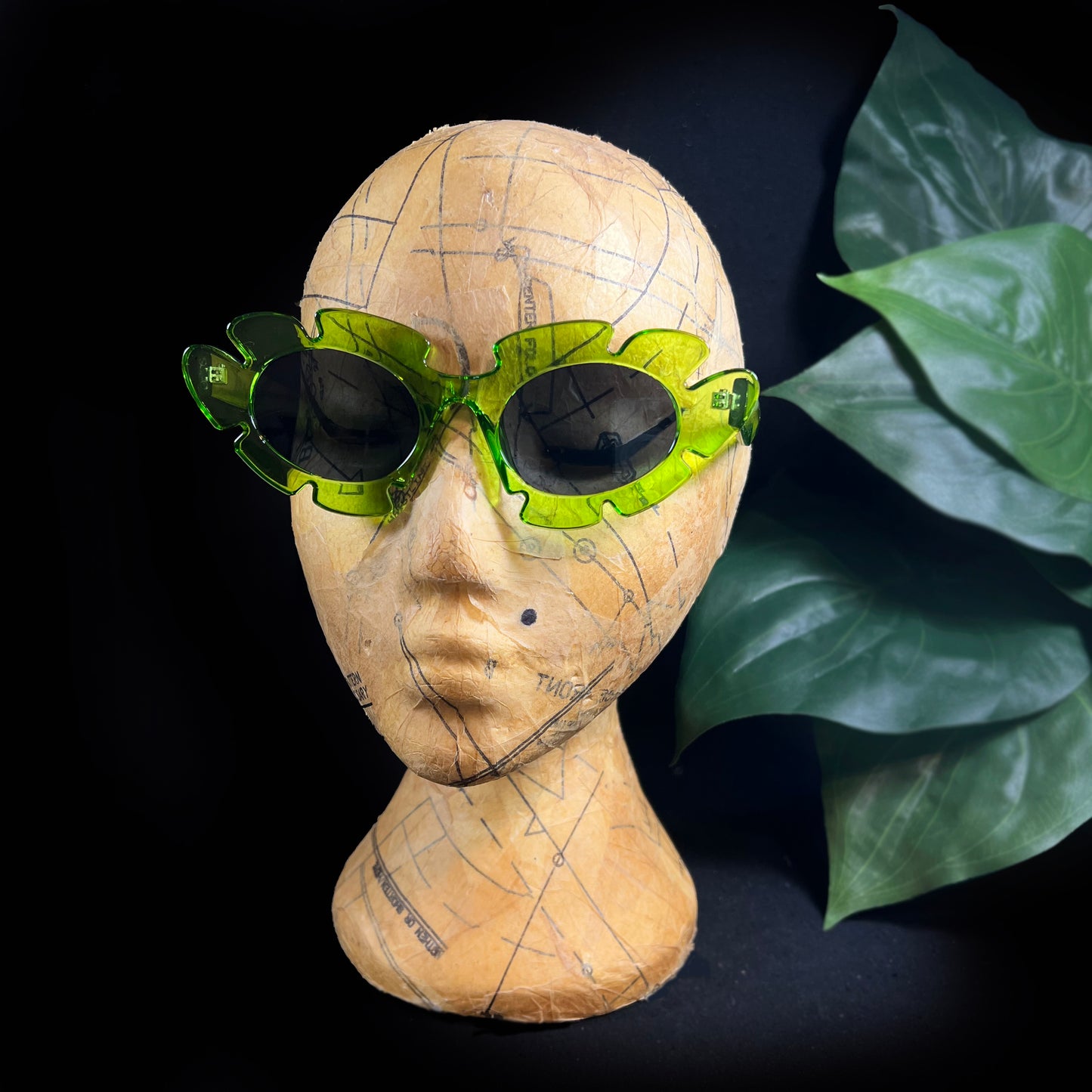 MONSTERA SHADES
